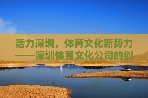 活力深圳，体育文化新势力——深圳体育文化公司的创新与实践，活力深圳体育文化新势力，深圳体育文化公司的创新实践