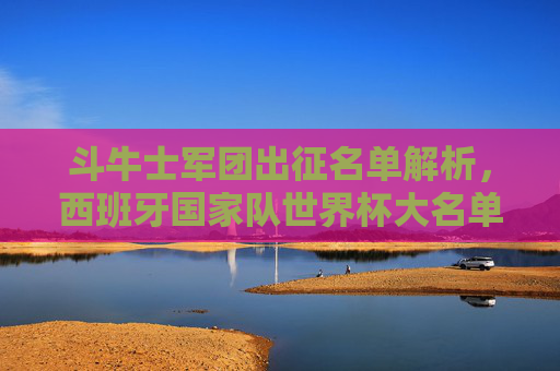 斗牛士军团出征名单解析，西班牙国家队世界杯大名单深度解读，斗牛士军团世界杯出征名单深度解析