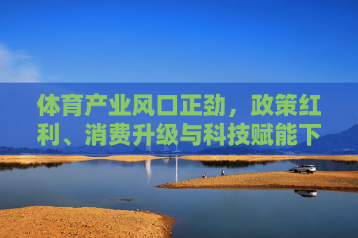 体育产业风口正劲，政策红利、消费升级与科技赋能下的黄金机遇，政策红利、消费升级与科技赋能，体育产业的黄金机遇