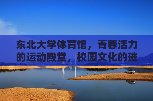 东北大学体育馆,青春活力的运动殿堂,校园文化的璀璨地标,东北大学体育馆,青春活力运动文化地标 东北大学体育馆,青春活力的运动殿堂,校园文化的璀璨地标,东北大学体育馆,青春活力运动文化地标