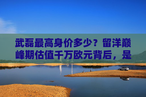 武磊最高身价多少？留洋巅峰期估值千万欧元背后，是努力与时代的交织，武磊留洋巅峰期身价千万欧元，努力与时代的交织