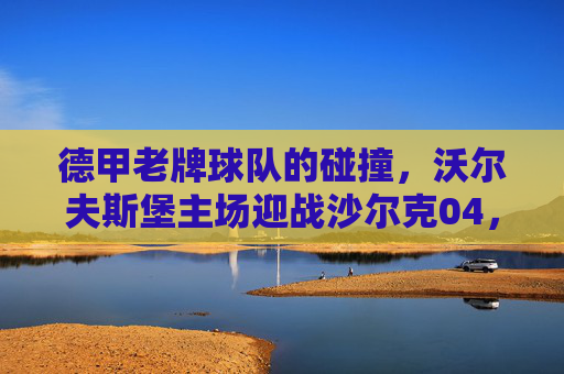 德甲老牌球队的碰撞，沃尔夫斯堡主场迎战沙尔克04，保级关键战一触即发，德甲保级关键战，沃尔夫斯堡主场迎战沙尔克04