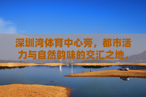 深圳湾体育中心旁,都市活力与自然韵味的交汇之地,深圳湾体育中心旁,活力与自然的交汇 深圳湾体育中心旁,都市活力与自然韵味的交汇之地,深圳湾体育中心旁,活力与自然的交汇