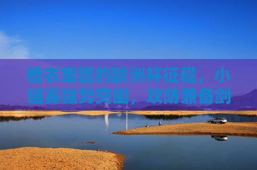 橙衣军团的欧洲杯征程，小组赛强势突围，攻防兼备剑指更高目标，橙衣军团欧洲杯小组赛强势突围 攻防兼备剑指更高目标
