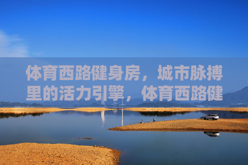 体育西路健身房,城市脉搏里的活力引擎,体育西路健身房,城市脉搏的活力引擎 体育西路健身房,城市脉搏里的活力引擎,体育西路健身房,城市脉搏的活力引擎