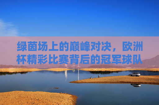 绿茵场上的巅峰对决,欧洲杯精彩比赛背后的冠军球队,欧洲杯巅峰对决,冠军球队的荣耀时刻 绿茵场上的巅峰对决,欧洲杯精彩比赛背后的冠军球队,欧洲杯巅峰对决,冠军球队的荣耀时刻