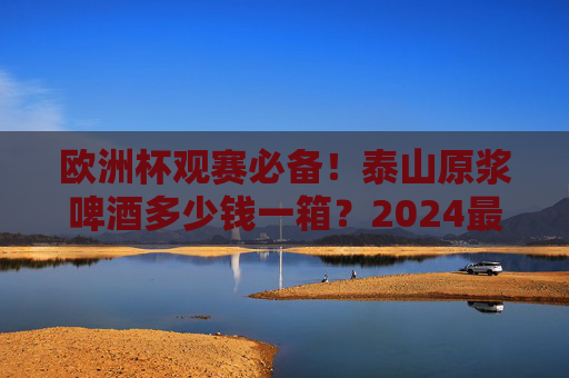 欧洲杯观赛必备！泰山原浆啤酒多少钱一箱？2024最新价格与选购指南