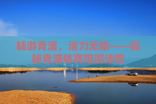 畅游青浦，活力无限——探秘青浦体育馆游泳馆