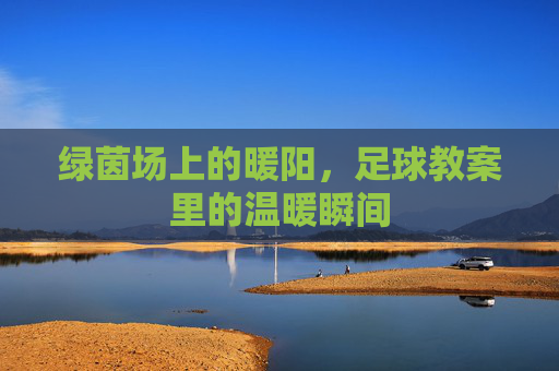 绿茵场上的暖阳,足球教案里的温暖瞬间 绿茵场上的暖阳,足球教案里的温暖瞬间