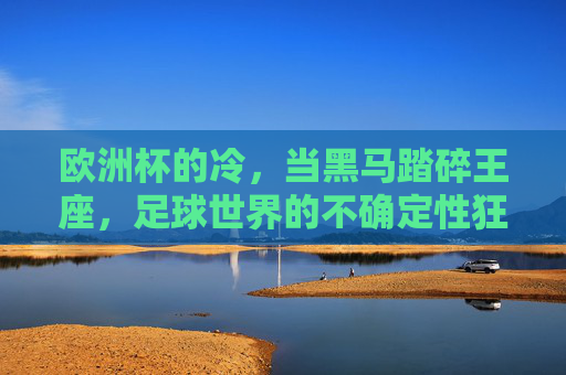 欧洲杯的冷,当黑马踏碎王座,足球世界的不确定性狂欢 欧洲杯的冷,当黑马踏碎王座,足球世界的不确定性狂欢
