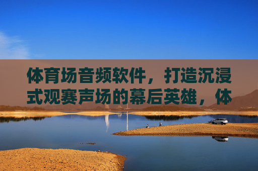 体育场音频软件，打造沉浸式观赛声场的幕后英雄，体育场音频软件，沉浸式观赛声场的幕后英雄