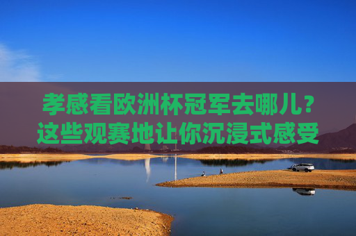 孝感看欧洲杯冠军去哪儿？这些观赛地让你沉浸式感受冠军之夜！孝感欧洲杯冠军观赛地，沉浸式感受冠军之夜