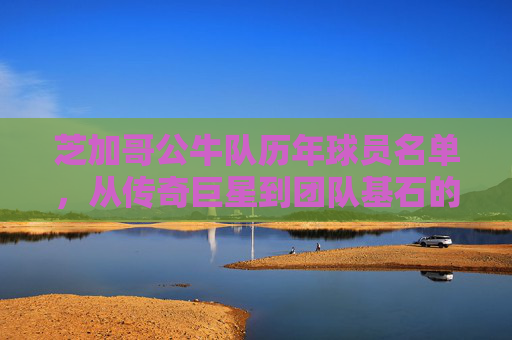 芝加哥公牛队历年球员名单,从传奇巨星到团队基石的辉煌篇章 芝加哥公牛队历年球员名单,从传奇巨星到团队基石的辉煌篇章