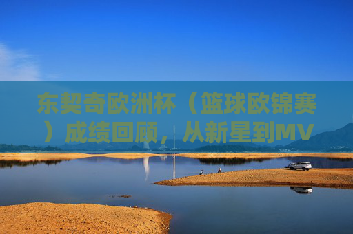 东契奇欧洲杯（篮球欧锦赛）成绩回顾，从新星到MVP的带队之路，东契奇欧锦赛，从新星到MVP的带队之路