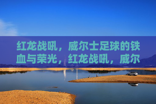 红龙战吼，威尔士足球的铁血与荣光，红龙战吼，威尔士足球的铁血荣光