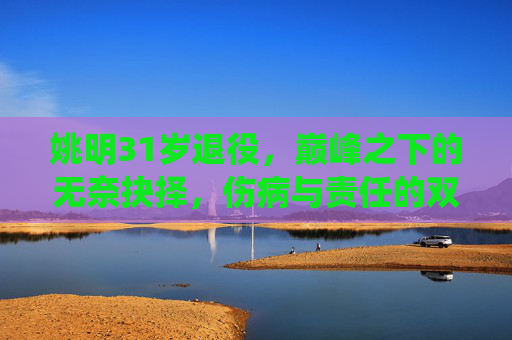 姚明31岁退役，巅峰之下的无奈抉择，伤病与责任的双重考量，巅峰之下的无奈抉择，姚明31岁退役的伤病与责任考量