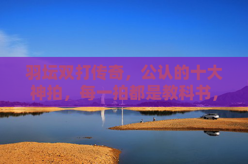 羽坛双打传奇,公认的十大神拍,每一拍都是教科书,羽坛双打传奇十大神拍,教科书级羽拍典范 羽坛双打传奇,公认的十大神拍,每一拍都是教科书,羽坛双打传奇十大神拍,教科书级羽拍典范