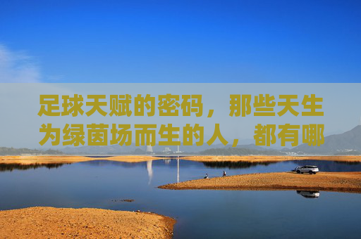 足球天赋的密码,那些天生为绿茵场而生的人,都有哪些过人之处?足球天赋密码,天生为绿茵场而生的过人之处 足球天赋的密码,那些天生为绿茵场而生的人,都有哪些过人之处?足球天赋密码,天生为绿茵场而生的过人之处