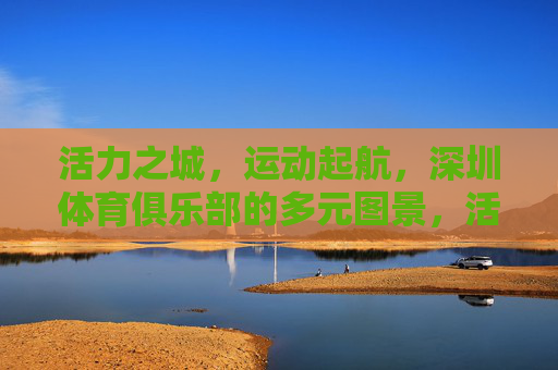 活力之城，运动起航，深圳体育俱乐部的多元图景，活力深圳，体育俱乐部的多元运动图景