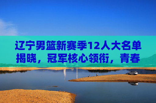 辽宁男篮新赛季12人大名单揭晓，冠军核心领衔，青春力量蓄势待发，辽宁男篮新赛季12人名单，冠军核心领衔，青春力量蓄势待发