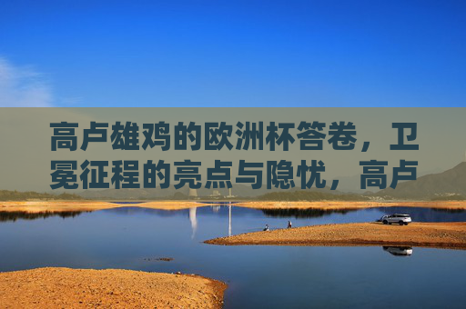高卢雄鸡的欧洲杯答卷,卫冕征程的亮点与隐忧,高卢雄鸡欧洲杯卫冕答卷,亮点与隐忧 高卢雄鸡的欧洲杯答卷,卫冕征程的亮点与隐忧,高卢雄鸡欧洲杯卫冕答卷,亮点与隐忧