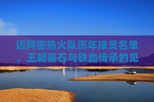 迈阿密热火队历年球员名单，王朝基石与铁血传承的见证，迈阿密热火队历年球员名单，王朝基石与铁血传承的见证