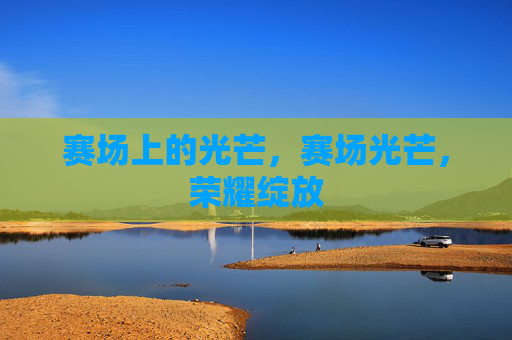 赛场上的光芒,赛场光芒,荣耀绽放 赛场上的光芒,赛场光芒,荣耀绽放
