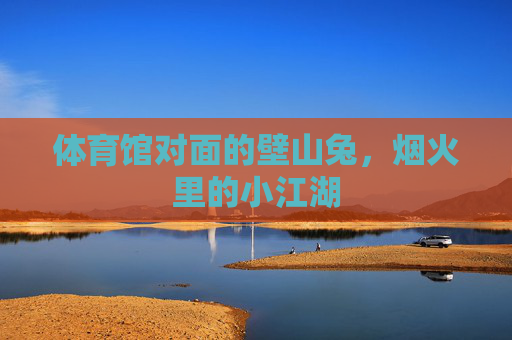 体育馆对面的壁山兔,烟火里的小江湖 体育馆对面的壁山兔,烟火里的小江湖