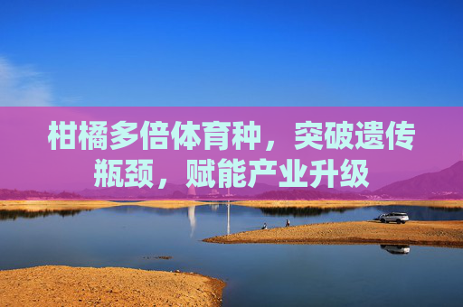 柑橘多倍体育种，突破遗传瓶颈，赋能产业升级