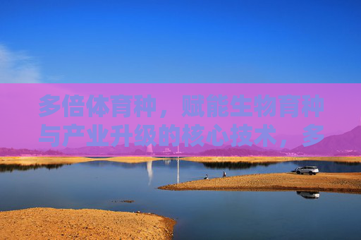 多倍体育种,赋能生物育种与产业升级的核心技术,多倍体育种,赋能生物育种与产业升级的核心技术 多倍体育种,赋能生物育种与产业升级的核心技术,多倍体育种,赋能生物育种与产业升级的核心技术