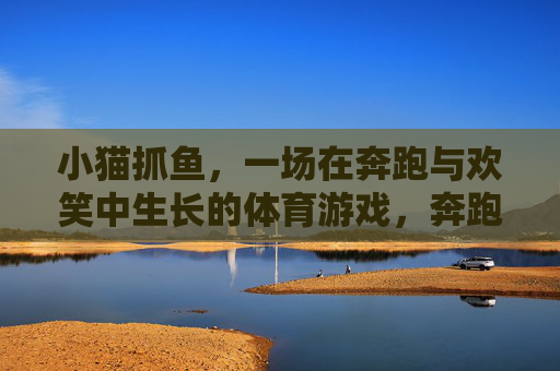 小猫抓鱼,一场在奔跑与欢笑中生长的体育游戏,奔跑欢笑,小猫抓鱼乐成长 小猫抓鱼,一场在奔跑与欢笑中生长的体育游戏,奔跑欢笑,小猫抓鱼乐成长