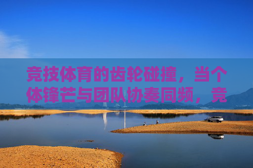 竞技体育的齿轮碰撞,当个体锋芒与团队协奏同频,竞技体育,个体锋芒与团队协奏的齿轮同频 竞技体育的齿轮碰撞,当个体锋芒与团队协奏同频,竞技体育,个体锋芒与团队协奏的齿轮同频