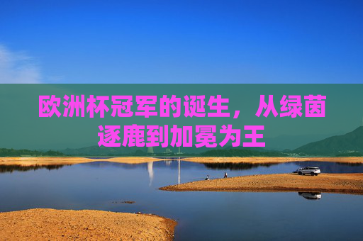 欧洲杯冠军的诞生,从绿茵逐鹿到加冕为王 欧洲杯冠军的诞生,从绿茵逐鹿到加冕为王