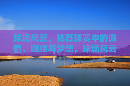 球场风云，体育球赛中的激情、团结与梦想，球场风云，激情、团结与梦想的交响