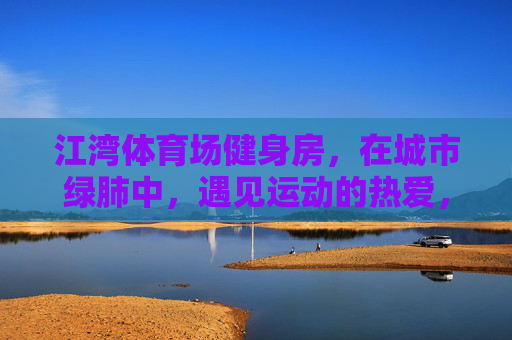 江湾体育场健身房,在城市绿肺中,遇见运动的热爱,江湾体育场健身房,绿肺里遇见运动热爱 江湾体育场健身房,在城市绿肺中,遇见运动的热爱,江湾体育场健身房,绿肺里遇见运动热爱