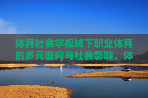 体育社会学视域下职业体育的多元面向与社会影响，体育社会学视域下职业体育的多元面向与社会影响