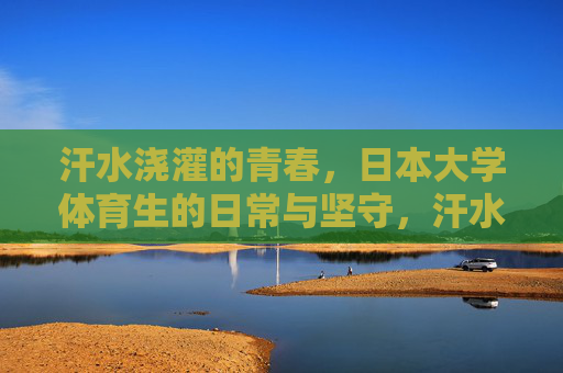 汗水浇灌的青春,日本大学体育生的日常与坚守,汗水铸就青春,日本大学体育生的日常坚守 汗水浇灌的青春,日本大学体育生的日常与坚守,汗水铸就青春,日本大学体育生的日常坚守