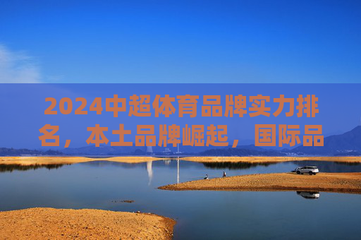 2024中超体育品牌实力排名,本土品牌崛起,国际品牌竞争加剧,2024中超体育品牌实力排名,本土崛起与国际竞争加剧 2024中超体育品牌实力排名,本土品牌崛起,国际品牌竞争加剧,2024中超体育品牌实力排名,本土崛起与国际竞争加剧