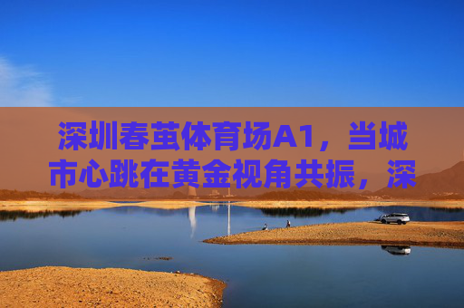 深圳春茧体育场A1，当城市心跳在黄金视角共振，深圳春茧A1，黄金视角共振城市心跳
