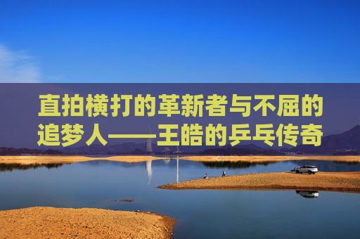 直拍横打的革新者与不屈的追梦人——王皓的乒乓传奇 直拍横打的革新者与不屈的追梦人——王皓的乒乓传奇