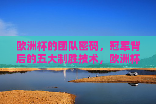 欧洲杯的团队密码，冠军背后的五大制胜技术，欧洲杯冠军的团队密码，五大制胜技术