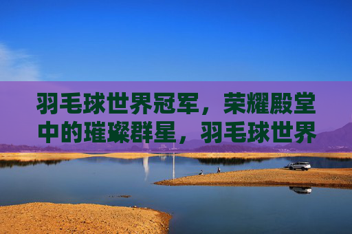 羽毛球世界冠军，荣耀殿堂中的璀璨群星，羽毛球世界冠军，荣耀殿堂的璀璨群星