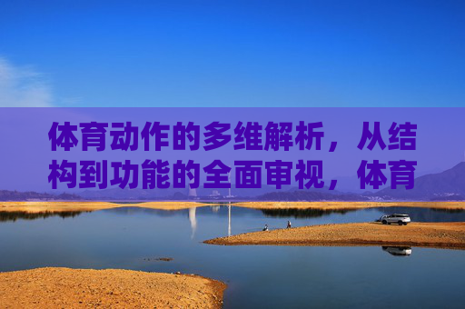 体育动作的多维解析,从结构到功能的全面审视,体育动作的结构与功能多维解析 体育动作的多维解析,从结构到功能的全面审视,体育动作的结构与功能多维解析