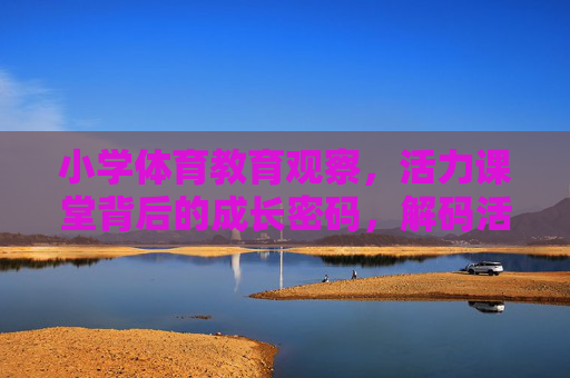 小学体育教育观察,活力课堂背后的成长密码,解码活力课堂,小学体育教育的成长密码 小学体育教育观察,活力课堂背后的成长密码,解码活力课堂,小学体育教育的成长密码