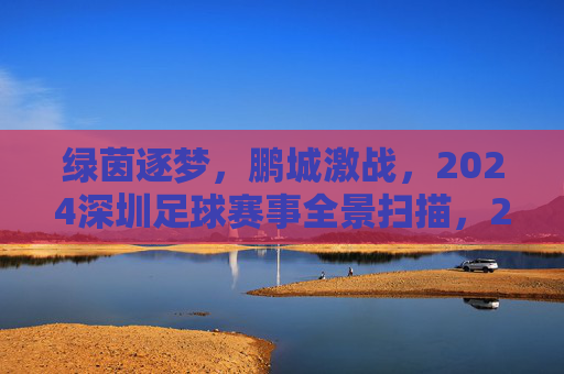 绿茵逐梦,鹏城激战,2024深圳足球赛事全景扫描,2024深圳足球赛事全景扫描,绿茵逐梦鹏城激战 绿茵逐梦,鹏城激战,2024深圳足球赛事全景扫描,2024深圳足球赛事全景扫描,绿茵逐梦鹏城激战