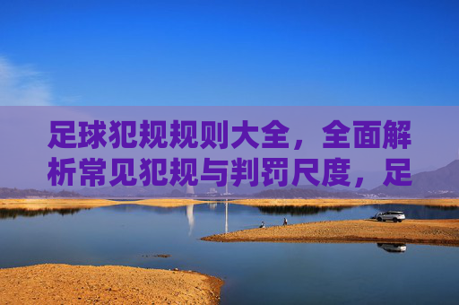 足球犯规规则大全，全面解析常见犯规与判罚尺度，足球犯规规则大全，常见犯规与判罚尺度全面解析