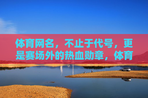 体育网名，不止于代号，更是赛场外的热血勋章，体育网名，代号之外的热血勋章