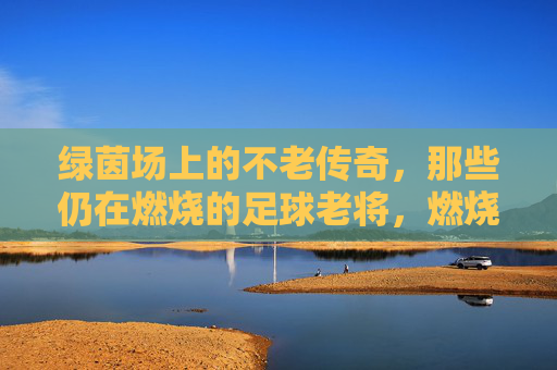 绿茵场上的不老传奇，那些仍在燃烧的足球老将，燃烧的绿茵传奇，不老的足球老将
