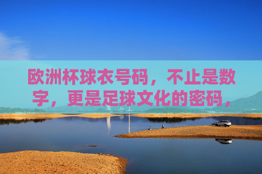 欧洲杯球衣号码，不止是数字，更是足球文化的密码，欧洲杯球衣号码，足球文化的数字密码