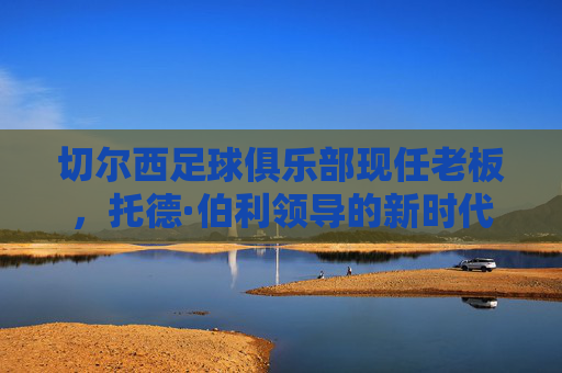 切尔西足球俱乐部现任老板，托德·伯利领导的新时代财团，切尔西足球俱乐部，托德·伯利领导的新时代财团